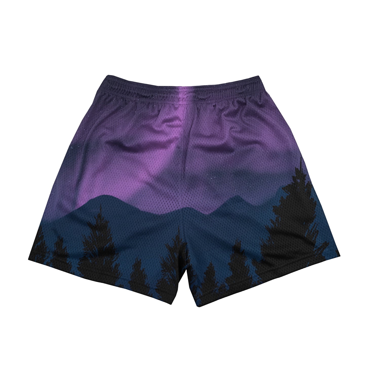Aurora Mesh Shorts